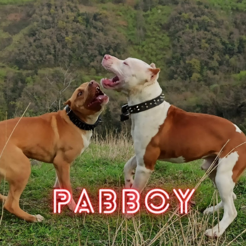 PABBOY - youtube Keşfet