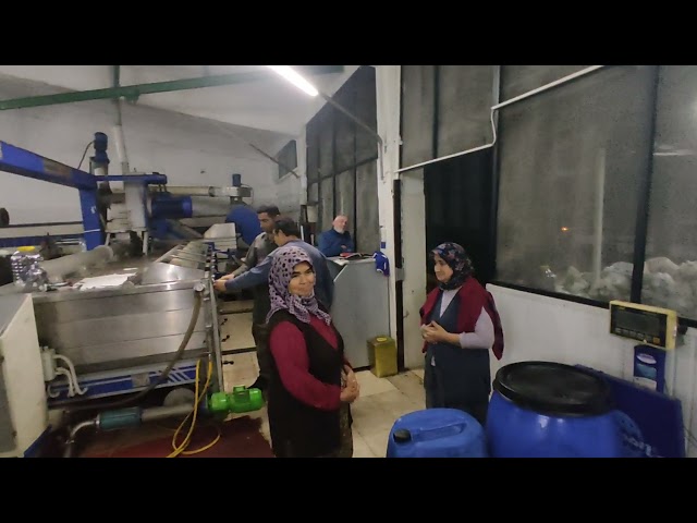 Zeytin yağı fabrikası