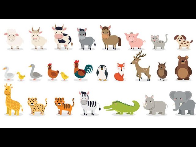 Film Alıntıları İle Hayvanları Öğrenmek #2 - İngilizce Hayvanlar