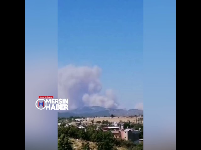 Mersin Aydıncık Duruhan köyündeki ormanlık alanda yangın çıktı