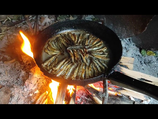 Tavada hamsi nasıl yapılır How to make anchovies in the pan