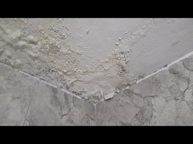 Duvardaki nem kabarıklık rutubet nasıl yok edilir How eliminate swelling and dampness on the wall?