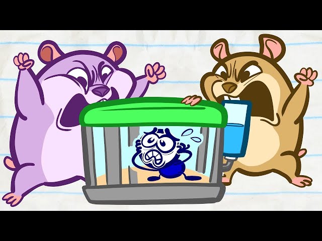 ???? Pencilmation Live! Adventures of Pencilmate and Friends - Animated Cartoons