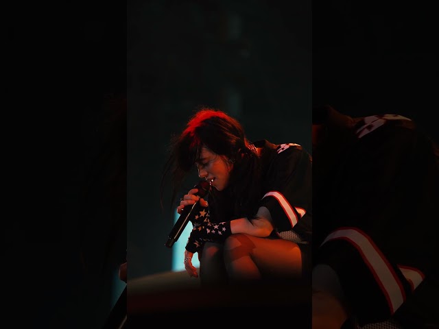 Billie performing “What Was I Made For?” at Sziget in Hungary.