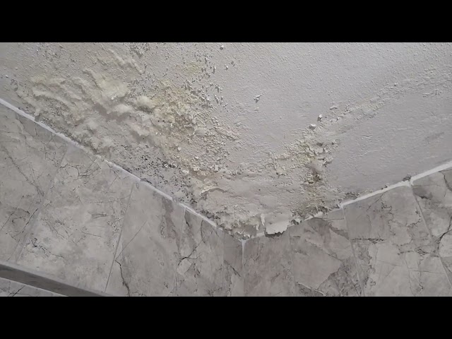 Duvarda rutubet olmaması için ne yapılmalı What should be done to prevent moisture on the wall?