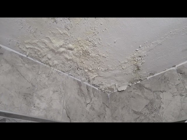 Duvardaki rutubet nem kabarıklık nasıl engelleriz How can prevent dampness and swelling on the wall