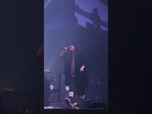 Billie performing “All I Wanted” with Paramore at the Forum