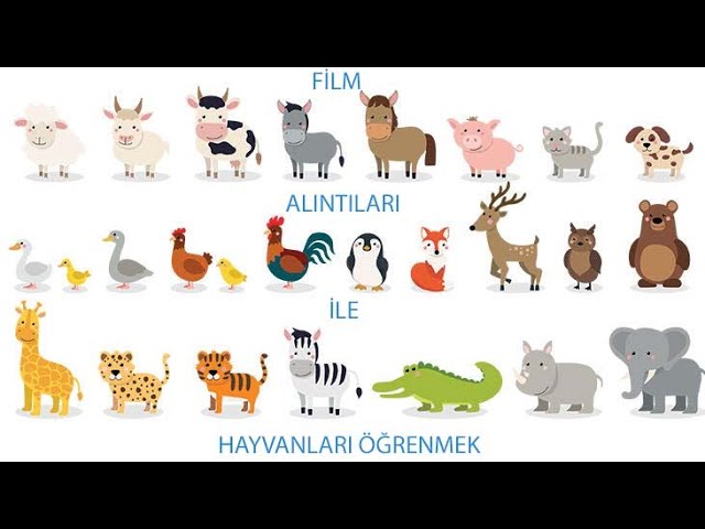 Film Alıntıları İle Hayvanları Öğrenmek - İngilizce Hayvanlar - The Animals